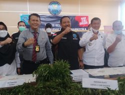 BNNP Sumsel Amankan 1.000 Batang Ganja