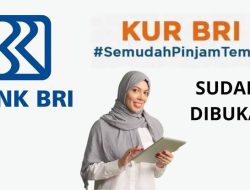 KUR BRI 2023 Sudah Dibuka,  Ini Syarat dan Ketentuannya