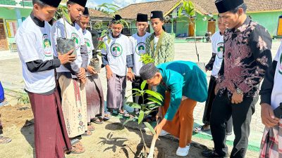 Sukarelawan SDG Beri Pelatihan Para Santri Cara Budi Daya Pohon Mangga