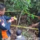 Tragedi Kebun Karet Banyuasin: Dua Nyawa Melayang, Misteri Mulai Terkuak