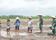 Air Sugihan Jadi Ujung Tombak Ketahanan Pangan Sumsel, 7.000 Hektare Lahan Dioptimalkan