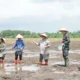 Air Sugihan Jadi Ujung Tombak Ketahanan Pangan Sumsel, 7.000 Hektare Lahan Dioptimalkan