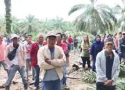 Konflik Sengketa Lahan di Perkebunan Sawit PT SWA, Warga Sungai Sodong vs Perusahaan, Siapa yang Menembak?