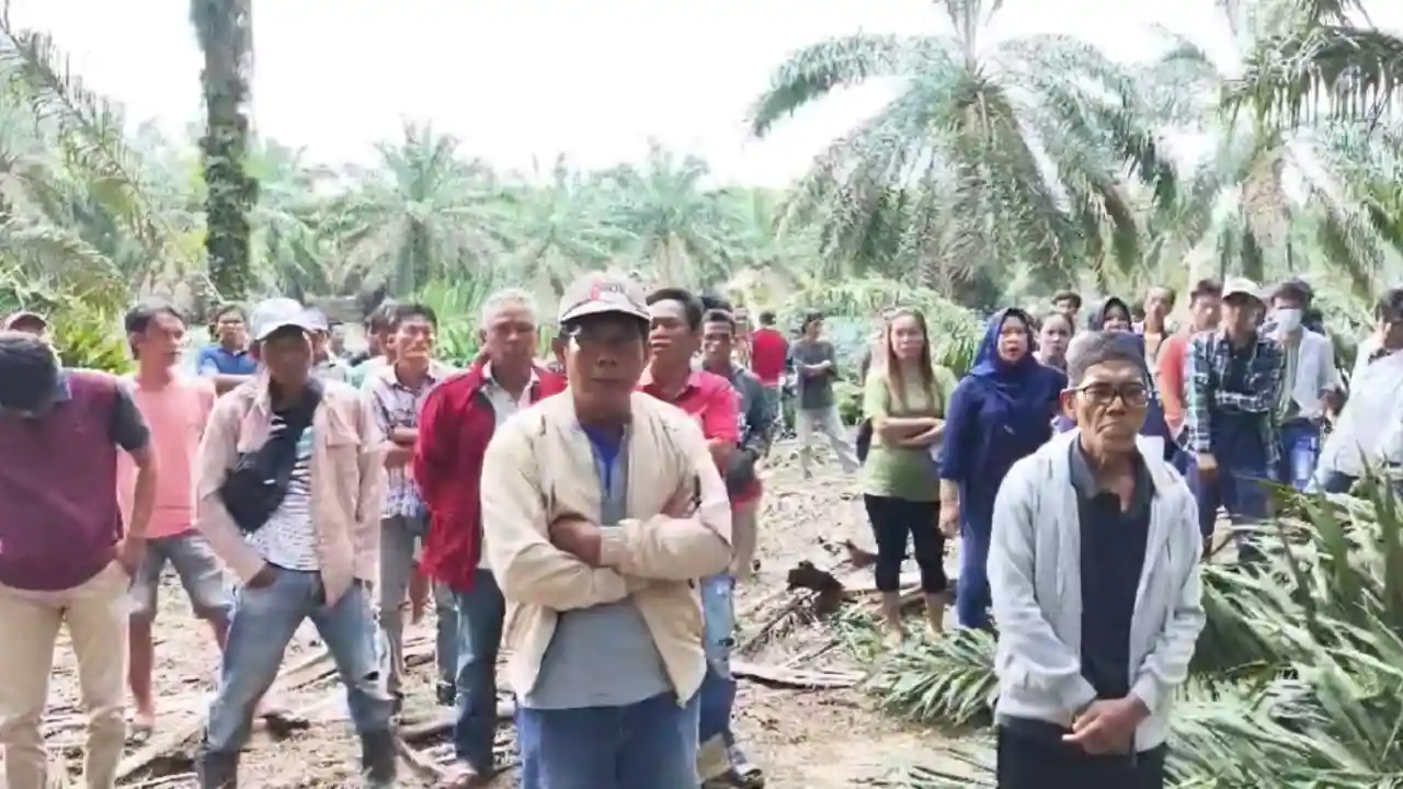 Konflik Sengketa Lahan di Perkebunan Sawit PT SWA, Warga Sungai Sodong vs Perusahaan, Siapa yang Menembak?