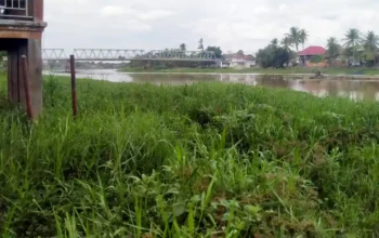 Menelusuri Luka Sungai Komering, Antara Rumput Liar, Eceng Gondok, dan Krisis Tanggung Jawab