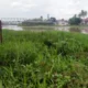 Menelusuri Luka Sungai Komering, Antara Rumput Liar, Eceng Gondok, dan Krisis Tanggung Jawab