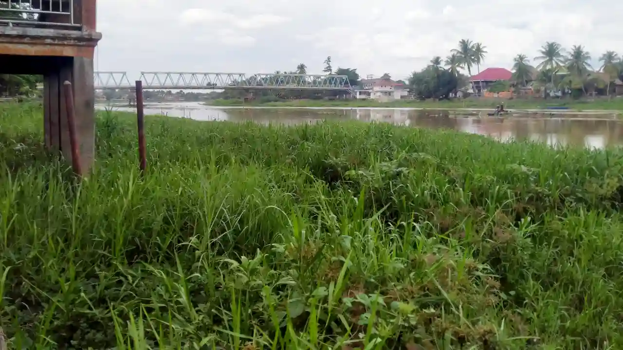 Menelusuri Luka Sungai Komering, Antara Rumput Liar, Eceng Gondok, dan Krisis Tanggung Jawab