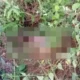 Misteri Kematian Siswi SMA di Mesuji, Luka Tusuk, Dugaan Pemerkosaan, dan Ponsel yang Hilang