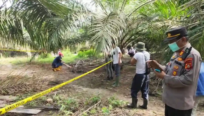 Misteri Tewasnya Pemas di Kebun Sawit. Diduga Dirampok dan Dibunuh, Motor dan HP Korban Raib