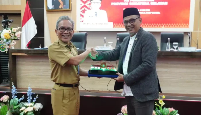Pemprov Sumsel Sampaikan Aspirasi dan Sinergi Pembangunan Kepada Komisi X DPR RI