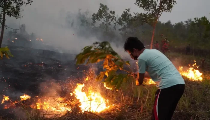 Ancaman Karhutla Membayangi Puncak Kemarau Juli-Agustus di Sumatera Selatan, Upaya Pencegahan dan Kesiapsiagaan Diperkuat