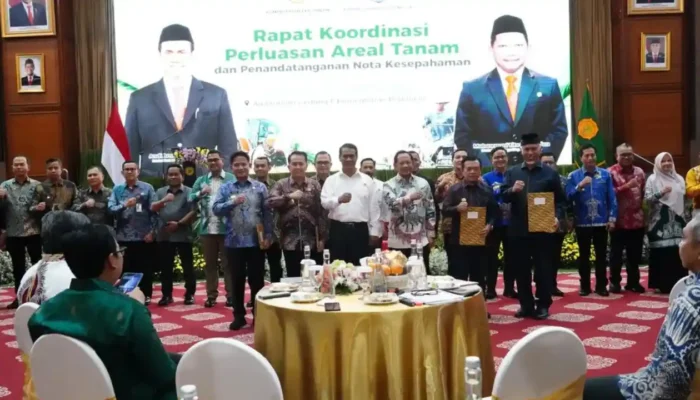 Banyuasin Siap Dongkrak Produksi Pangan Nasional, Optimalkan Lahan Rawa