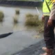 Buaya Raksasa 4 Meter Diringkus Warga Desa Bumi Pratama Mandira OKI, Kewaspadaan Diimbau