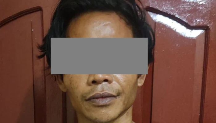 Janurman, Pencuri Kambing Kambuhan di OKI, Ditangkap Polisi Usai Beraksi 5 Kali