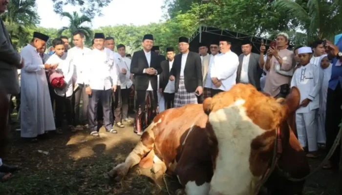 Masjid Agung Palembang Bagikan 2.500 Kupon Daging Kurban untuk Warga Sekitar