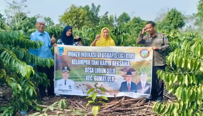 Meningkatkan Kualitas Kopi Lahat, Dinas Perkebunan dan MPIG Jurai Tue Gelar Sosialisasi Pasca Panen