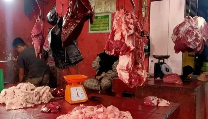 Panduan Lengkap Membedakan Daging Sapi Asli dan Gelonggongan, Jaminan Kuliner Lezat dan Aman