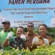 Panen Raya Cabe di OKI Tekan Inflasi, Sebuah Kisah Ketahanan Pangan dan Kolaborasi