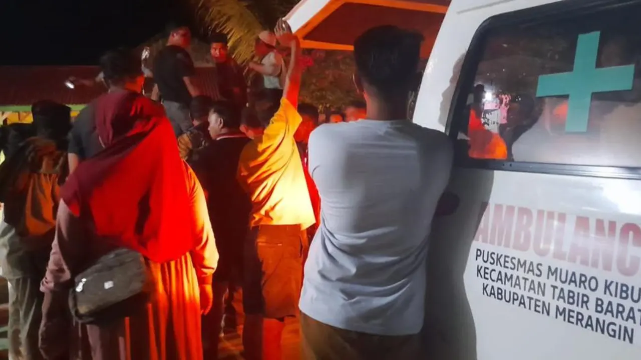 Petani Merangin Diterkam Beruang, Wajah Remuk, Warga Desak Pemerintah Bertindak