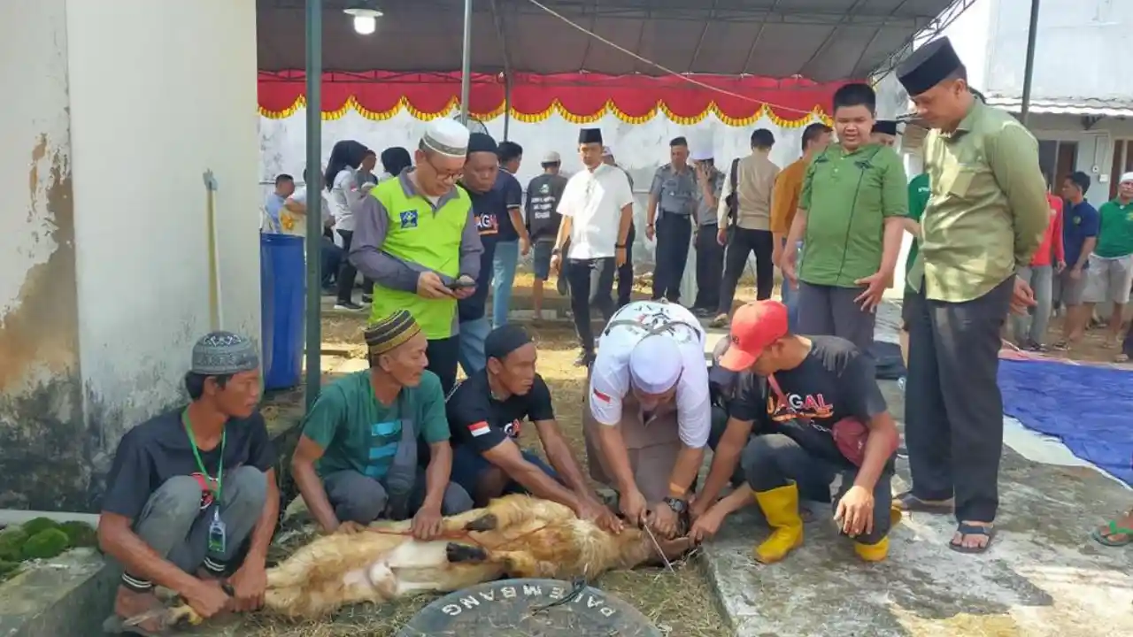 Semangat Berbagi Idul Adha di Rutan Kelas 1 Palembang, 15 Hewan Kurban Dipotong untuk Warga Binaan dan Panti Asuhan