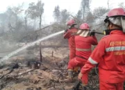 Kobaran Api di Lempuing Jaya, Lahan Gambut OKI Terbakar Seluas 21,6 Hektare