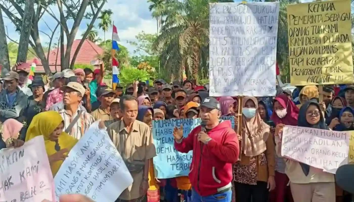 Plasma atau Blokade! Ratusan Warga Muba Berjuang Menuntut Hak dari PT PWS