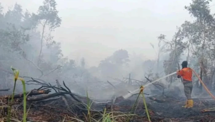 Kebakaran Hutan Gambut di Muara Enim Meluas, Upaya Pemadaman Terus Dilakukan