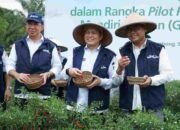 GSMP Goes to School, Pj Gubernur Sumsel Panen Raya Cabai di SMKN 2 Gelumbang, Tekan Inflasi dan Wujudkan Kemandirian Pangan