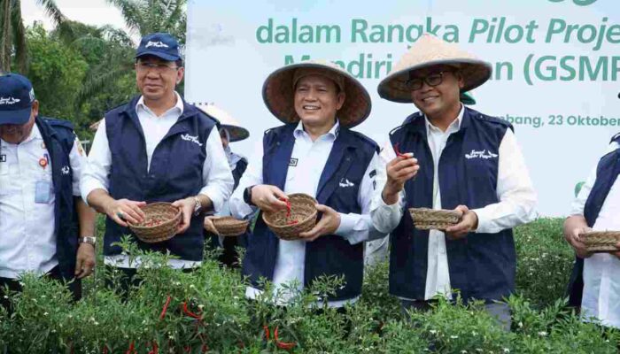 GSMP Goes to School, Pj Gubernur Sumsel Panen Raya Cabai di SMKN 2 Gelumbang, Tekan Inflasi dan Wujudkan Kemandirian Pangan