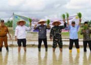 Kementan Targetkan Cetak Sawah 125 Ribu Hektare di OKI, Dukung Swasembada Pangan Era Prabowo