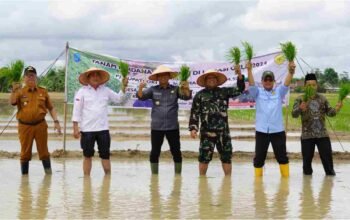 Kementan Targetkan Cetak Sawah 125 Ribu Hektare di OKI, Dukung Swasembada Pangan Era Prabowo