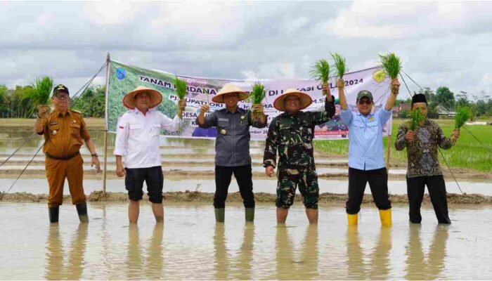 Kementan Targetkan Cetak Sawah 125 Ribu Hektare di OKI, Dukung Swasembada Pangan Era Prabowo