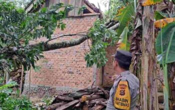 Puluhan Rumah Rusak Diterjang Puting Beliung di OKU, Sumatera Selatan