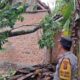 Puluhan Rumah Rusak Diterjang Puting Beliung di OKU, Sumatera Selatan