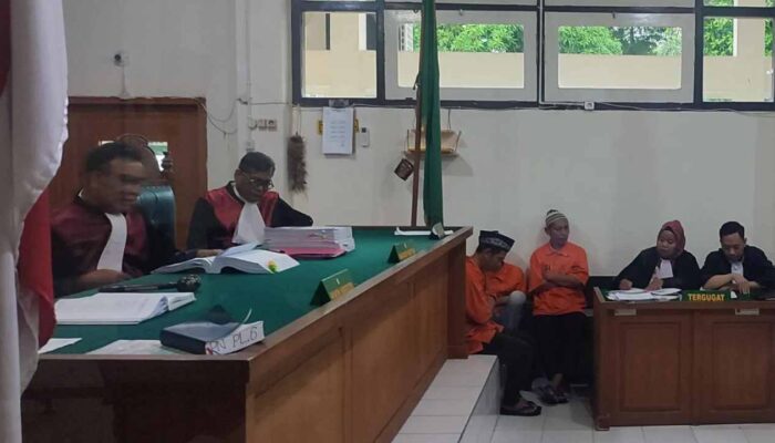 Sidang Kasus Penggarapan Lahan Suaka Margasatwa, Hakim Sorot Peran Kades, Camat, dan Lurah