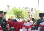 Sumsel Jadi Andalan Ketahanan Pangan Nasional, Optimalisasi Lahan Rawa dan Cetak Sawah Baru