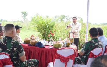 Sumsel Jadi Andalan Ketahanan Pangan Nasional, Optimalisasi Lahan Rawa dan Cetak Sawah Baru