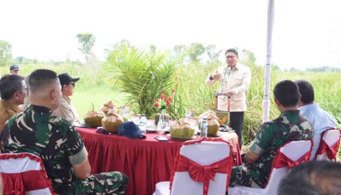 Sumsel Jadi Andalan Ketahanan Pangan Nasional, Optimalisasi Lahan Rawa dan Cetak Sawah Baru