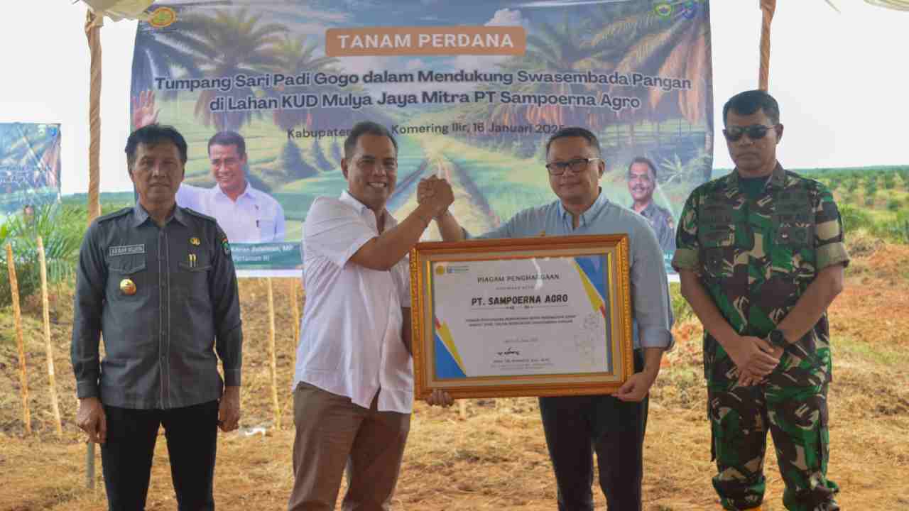 Sampoerna Agro dan Pemerintah Dorong Swasembada Pangan Melalui Tumpang Sari Padi Gogo di Lahan Sawit OKI