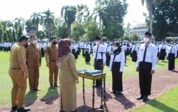 Polemik Penundaan CPNS dan PPPK 2024 Memanas, Kemenpan RB dan DPR Saling Bantah Kesepakatan