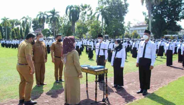 Polemik Penundaan CPNS dan PPPK 2024 Memanas, Kemenpan RB dan DPR Saling Bantah Kesepakatan