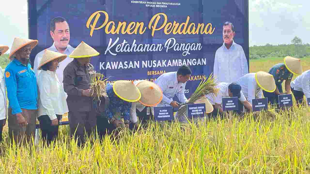 Menteri IMIPAS Panen Perdana Ketahanan Pangan di Nusakambangan, Wujudkan Lumbung Pangan dan Pemberdayaan Warga Binaan