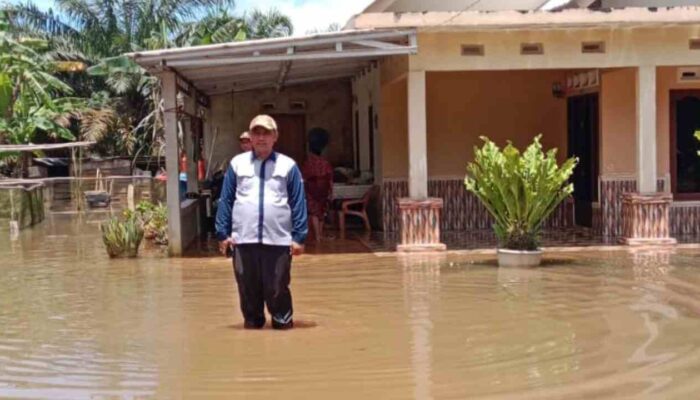 Akibat Hujan Deras dan Air Sungai Pasang, Puluhan Rumah di Desa Pinang Banjar Terendam Banjir
