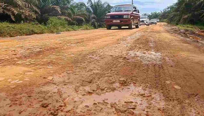Bertolak Belakang dengan Desa Lain, Jalan Poros Cinta Damai Sungai Lilin Muba Belum Teraspal