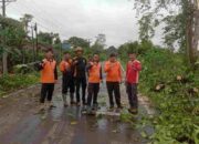 Cuaca Ekstrem Sebabkan Pohon Tumbang di Sekayu, Bupati HM Toha Apresiasi Respons Cepat Tim Gabungan
