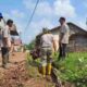 Gotong Royong Pemerintah Kecamatan Sungai Lilin Berlanjut, Fokus Bersihkan Belakang Pasar, Soroti Kendala Pengangkutan Sampah