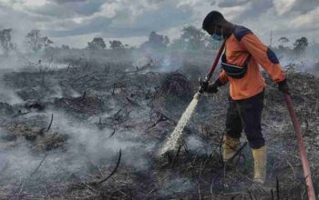 KLHK Tuntut Perusahaan Sawit di OKI Rp 2,4 Triliun Akibat Kebakaran Gambut