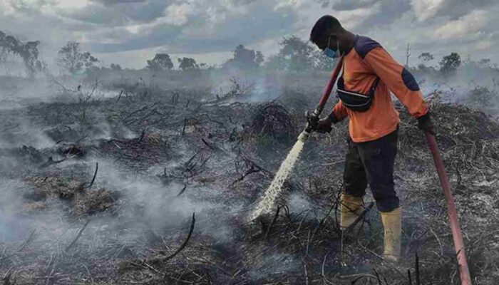 KLHK Tuntut Perusahaan Sawit di OKI Rp 2,4 Triliun Akibat Kebakaran Gambut