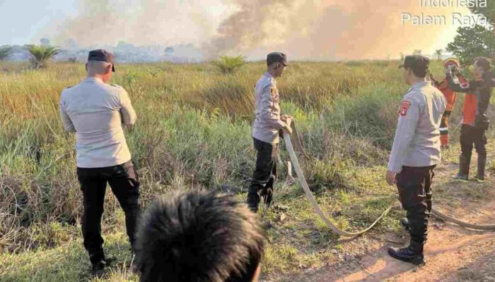 Kebakaran Lahan Dekat Tol Palindra Ogan Ilir Masih Dipadamkan, Khawatir Mengganggu Perjalanan di Tol Jika Meluas