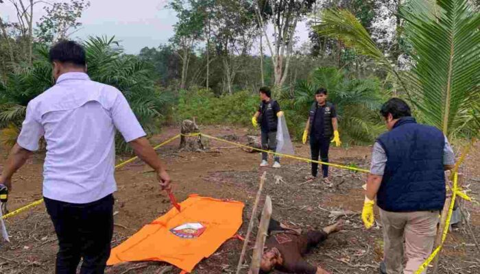 Mayat Pria Penuh Luka Ditemukan di Kebun Sawit Empat Lawang, Korban Teridentifikasi sebagai Warga Lahat